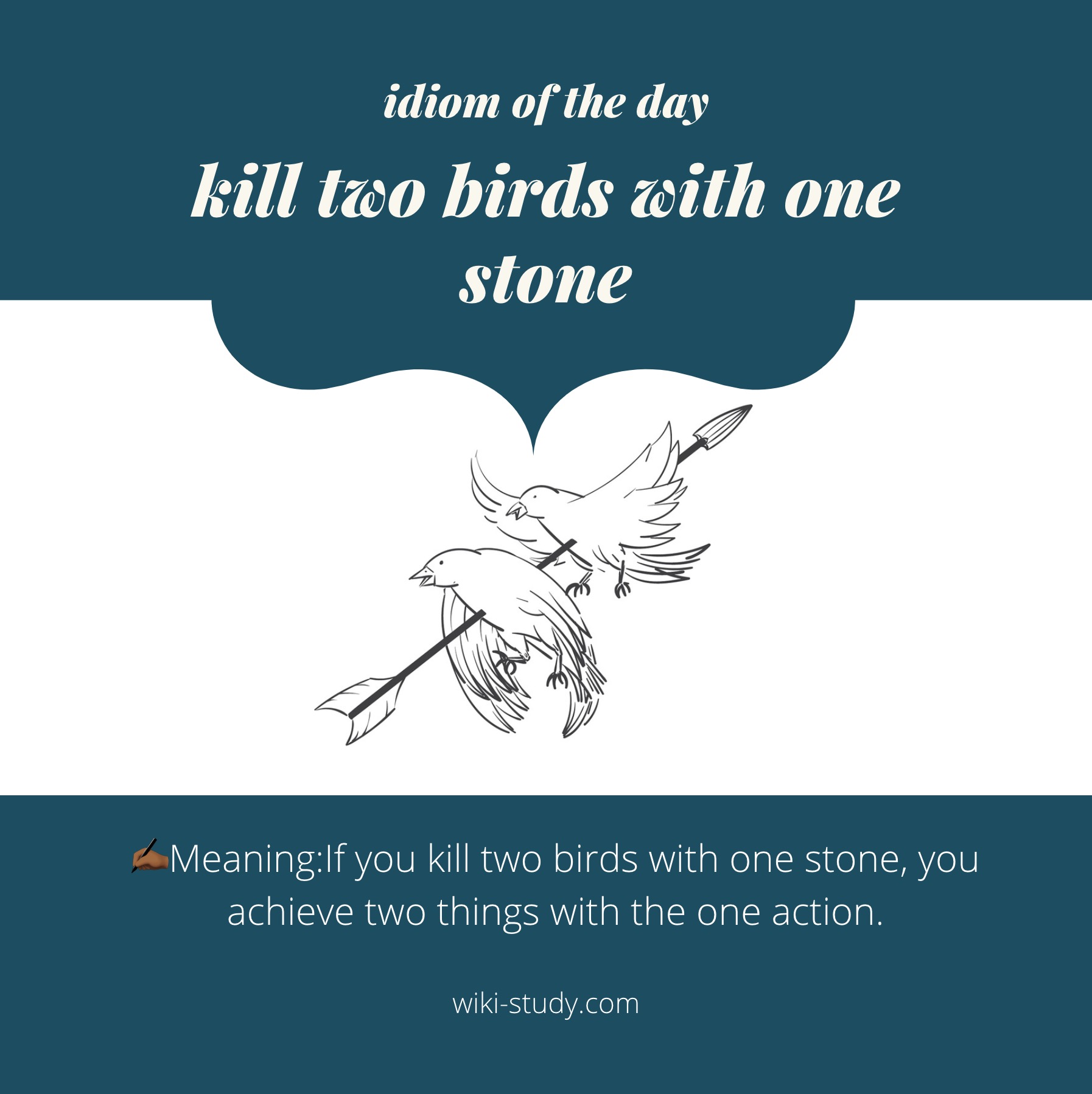 Collection 102+ Images kill two birds with one stone idiom Completed